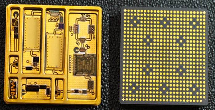 2026.3.12植树节18 2026.3.12植树节18